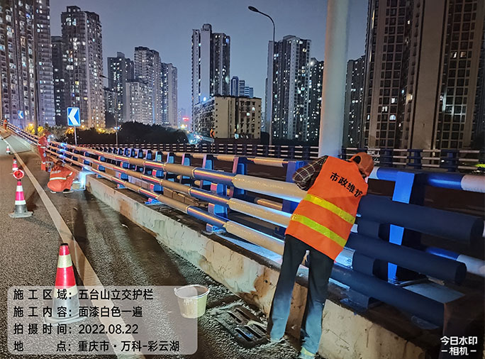 重慶市九龍坡區(qū)2022年結(jié)構(gòu)容貌整治工程